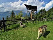 Cima Alben (2020 m) in periplo dal Passo della crocetta il 26 luglio 2020- FOTOGALLERY